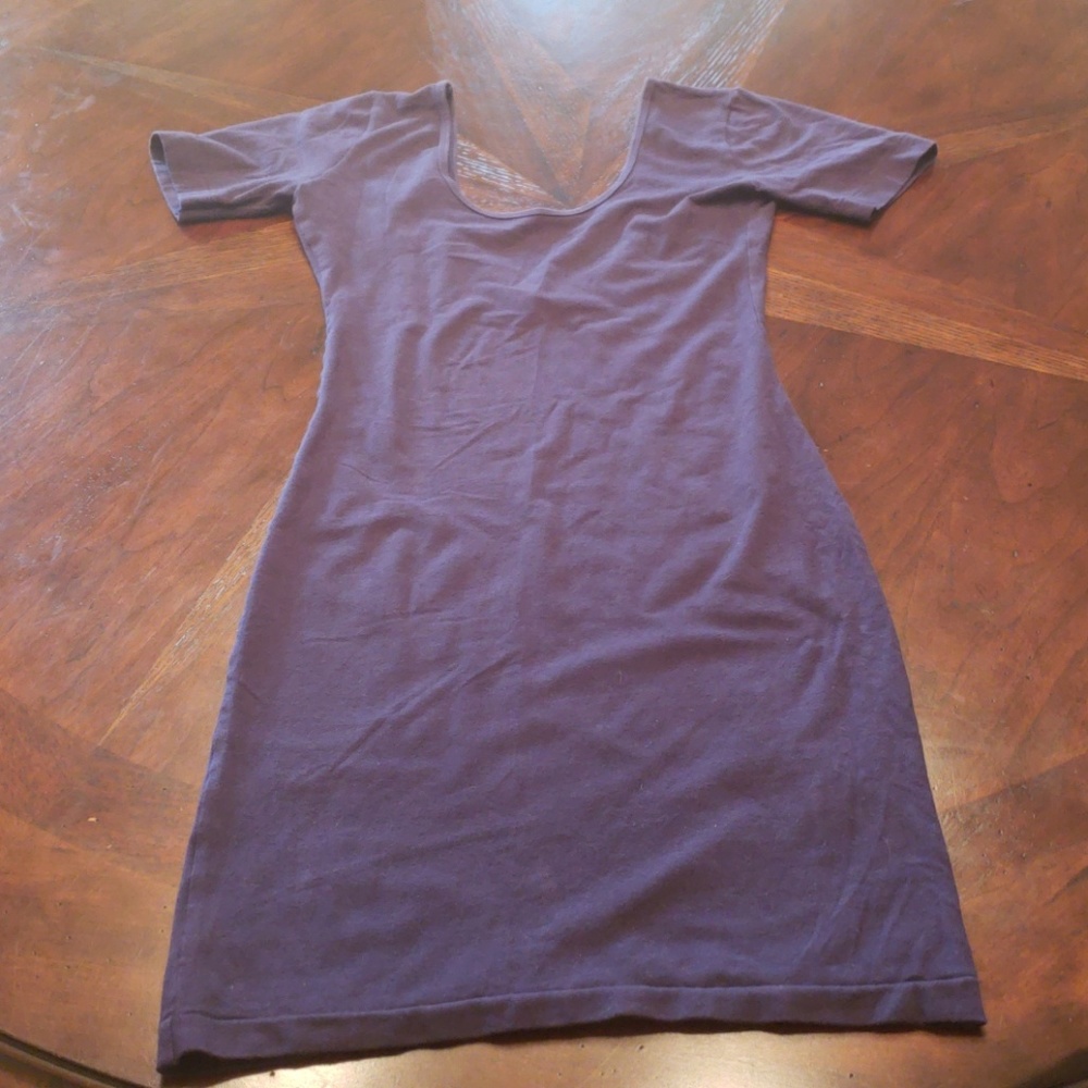 American Apparel Fitted Dress